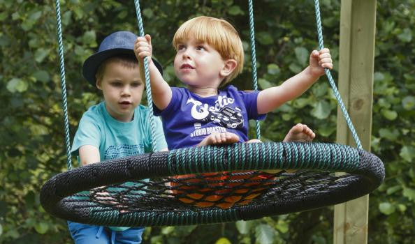 Oval Nest Swing