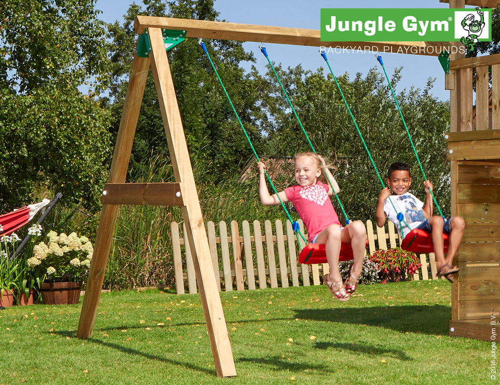 Jungle Gym Double Swing Arm